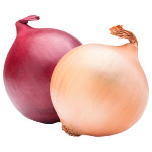 Fresh red Onions India