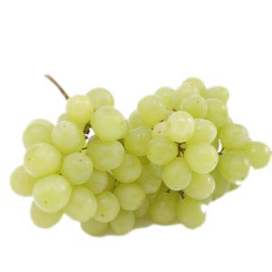 White Seedless Grapes Iran
