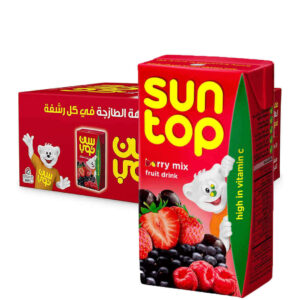 Suntop Berry Mix Juice 18 x 125ml