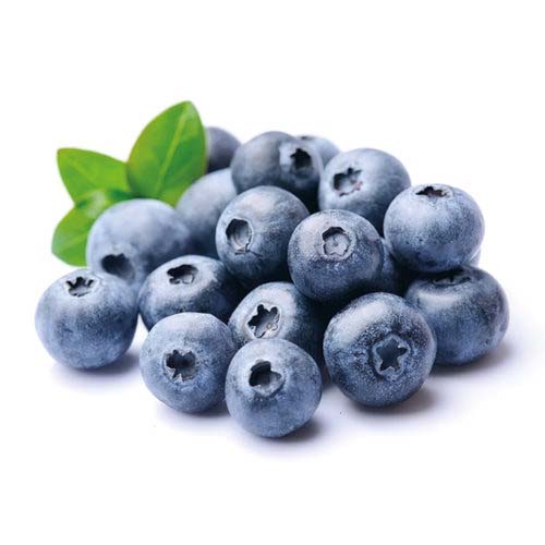 Fresh blueberries Spain
