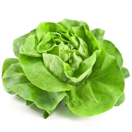 Lettuce Clean Iran 350g-grocery near me- online store near me- fresh vegetables- green veggies- salads- Amazon fresh vegetables, Fresh Lettuce Clean Iran, Martoo online grocery shop, online delivery