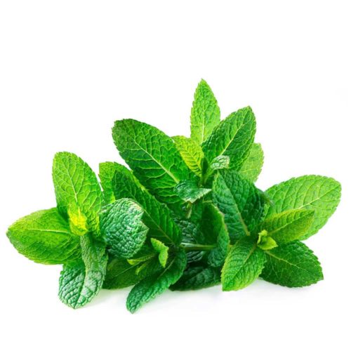 Mint Leaves UAE 100g- grocery near me- online store near me- fresh vegetable- green veggies- Amazon fresh vegetables, Fresh Mint UAE, Martoo online grocery shop, online delivery