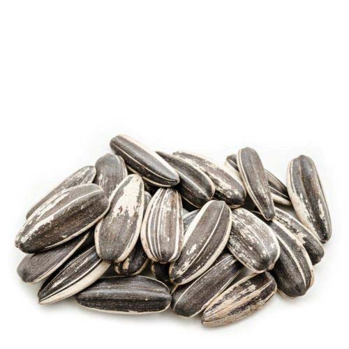 Salted Sunflower Seeds 500g- grocery near me- online store near me- healthy snacks- protein
