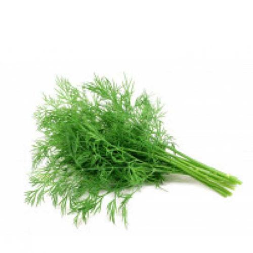 Dill Leaves UAE 100g- grocery near me- online store near me- fresh vegetables- green veggies- Amazon fresh vegetables, Fresh Dill Leaves UAE, Martoo online grocery shop, online delivery