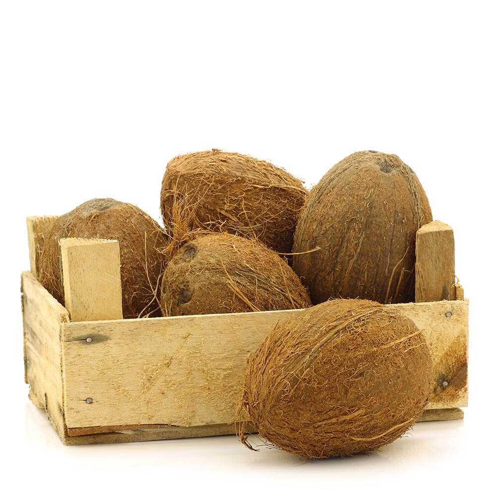 Coconut India 25pcs Per Box
