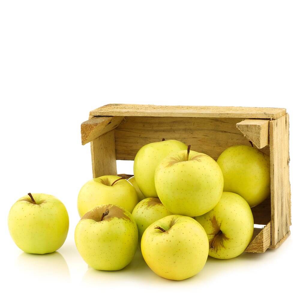 تفاح ذهبي إيران