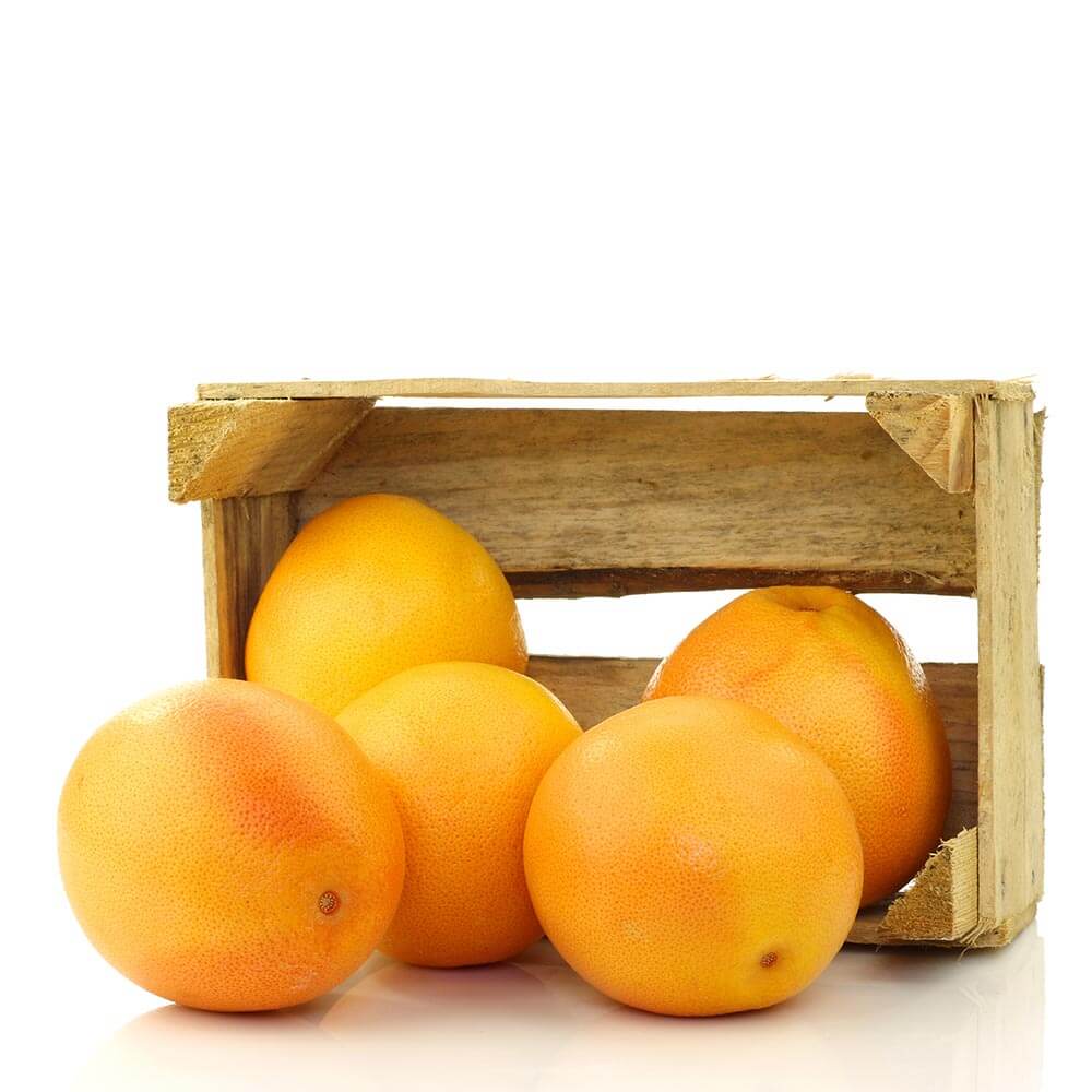 جريب فروت جنوب أفريقيا