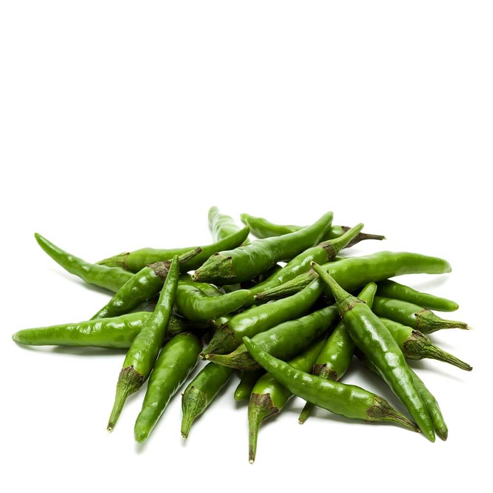 فلفل أخضر حار هندي