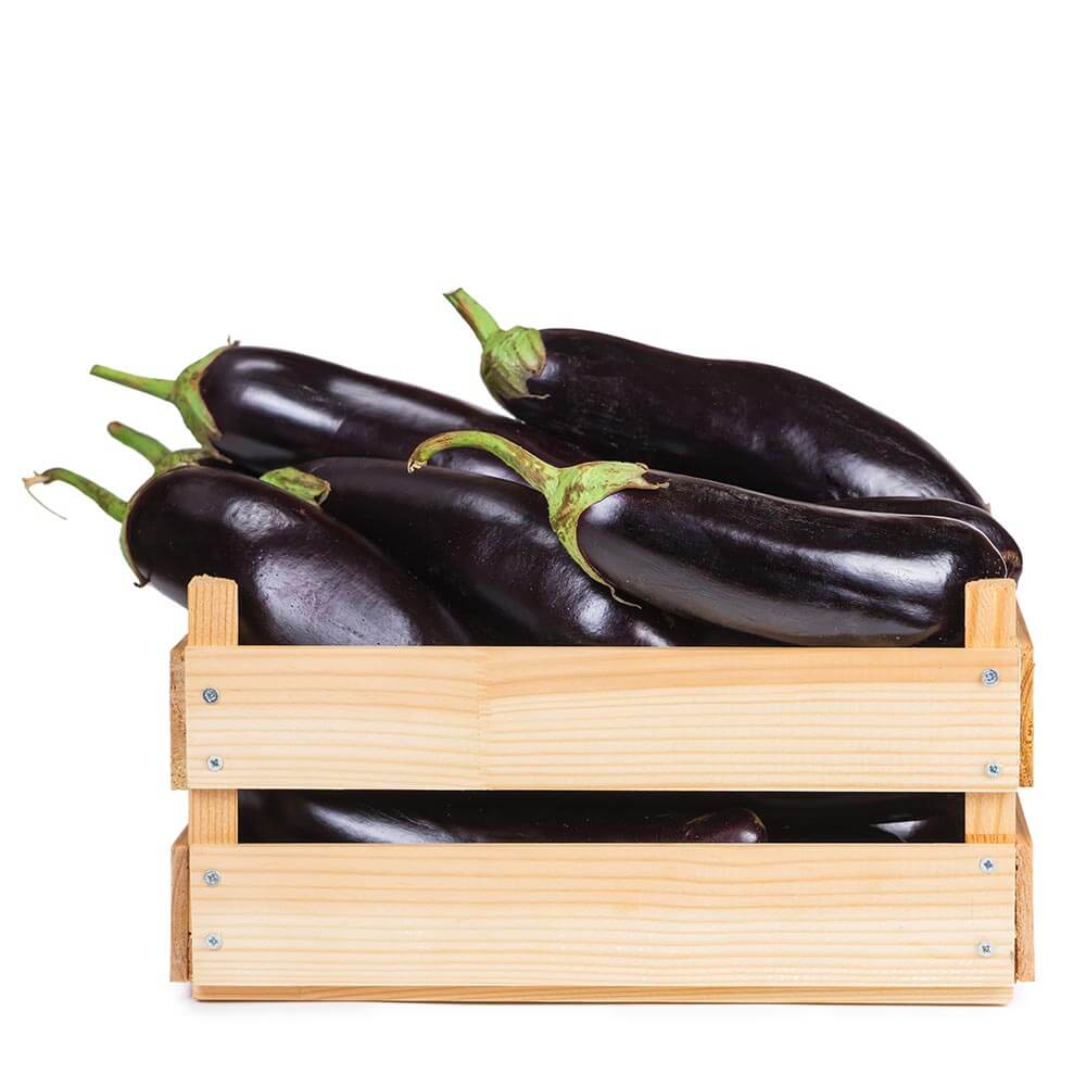 Greenhouse Big Eggplant Iran