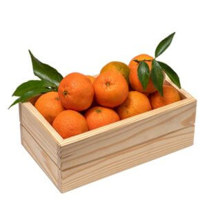 Mandarin South Africa 9kg per box- catering items- bulk items- wholesale items- cafe and restaurant supply- buffet- occasion- party vibrant taste Mandarin SouthAfrica