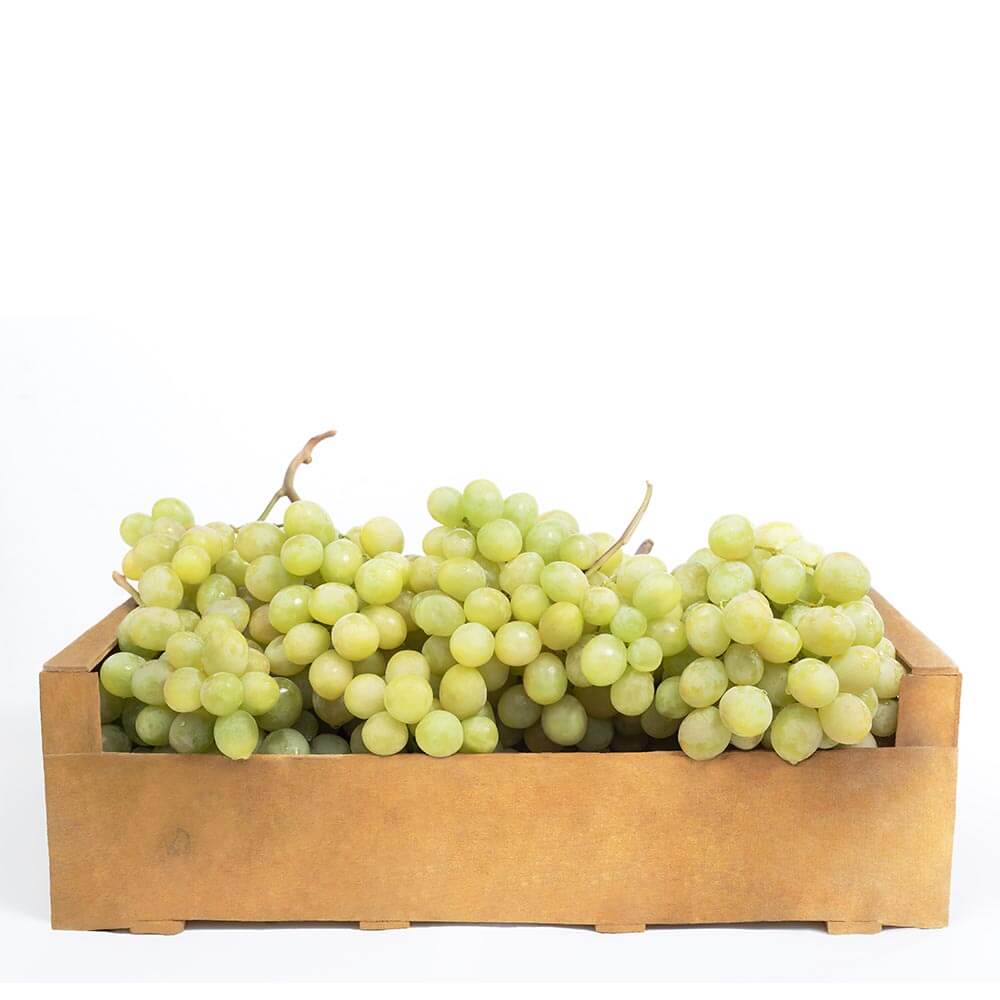 عنب أبيض تركي