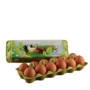 Eco Brown Eggs 12pcs- Al Jazira- Healthy Food- Grocery near me- Online store near me- Omega-3