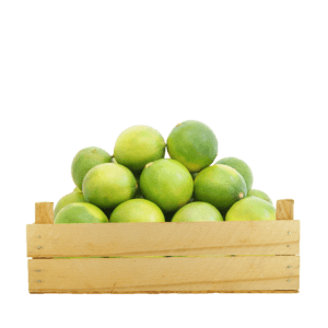 Seedless Lime Vietnam 6kg/ctn- bulk items- catering items- wholesale items- cafe and restaurant supply- drink beverages- cooking- party- occasion UAE