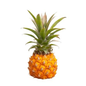 Pineapple Baby South Africa- grocery near me- online store near me- tropical fruits- rich in vitamin-C- snacks- dessert- healthy fruits- naturally nutrient-rich- Martoo online