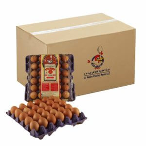Brown Small Eggs 30s- Bulk items- Catering items- Wholesale Food Products- Healthy Food- Restaurant and Cafe supplier