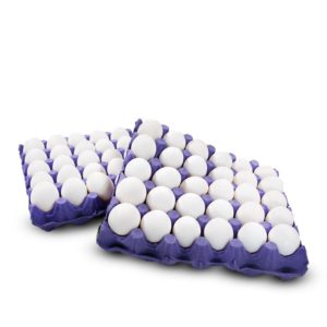 White Egg Offer-Protein-Omega-3-Healthy diet-Nutritious