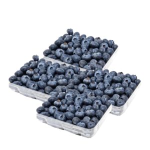 Blueberry Peru 4-Pack Offer- grocery near me- online store near me- berries- fresh fruits- amazon fresh fruits, Blueberry fresh , tasty and fresh, Martoo online grocery shop