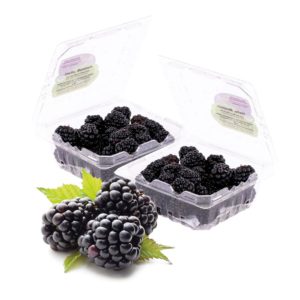 Blackberry Mexico 2x170g-grocery near me -Online Store near me- Offers- Healthy Snacks-Berries- Dessert- Sweets