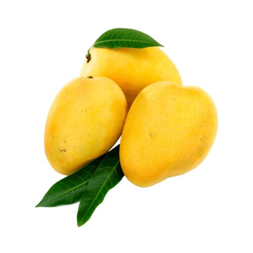 Mango Alphonso India 1kg- grocery near me- online store near me- tropical fruits- summer fruits- healthy food- smoothies- dessert- sweets