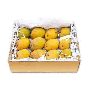 Mango Alphonso India 2kg- grocery near me- online store near me- tropical fruits- summer fruits- juice- smoothies- healthy fruits