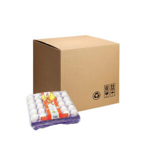 Saha Fresh White Eggs White Eggs Medium 30pcs Saha White Eggs wholesale Fresh Medium Eggs Suppliers Bulk Saha Eggs 30pcs