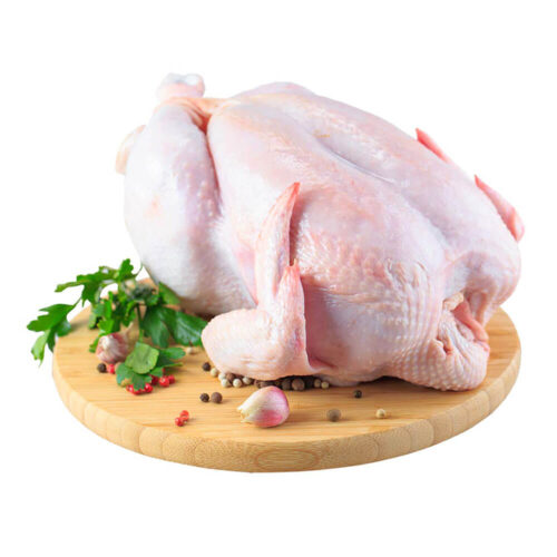 دجاج طازج حجم صغير من كتكوت