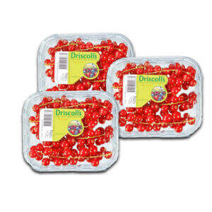 Driscoll's Red Currant 125g 3 pack