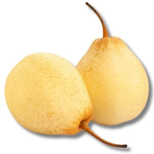 Pears Nashi Ya Pears Nashi Ya online Order Pears Nashi Ya Fresh Pears Nashi Ya Pears Nashi Ya UAE