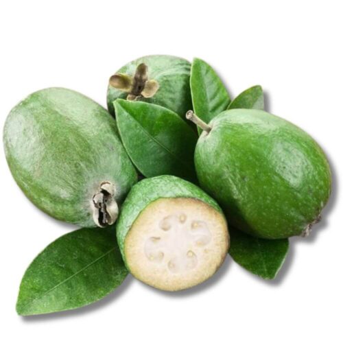 Pineapple Guava Feijoa 250g Fresh Pineapple Guava Feijoa Order Feijoa Pineapple Guava Pineapple Guava Feijoa online Pineapple Feijoa Guava UAE