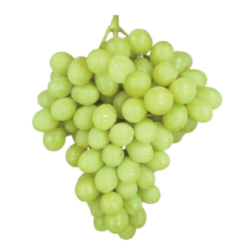 Grapes White Mr.kk Autumn King - Buy Naturally Sweet Grapes