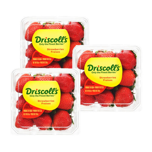 Fresh Strawberry USA Buy Fresh Strawberry USA Fresh Strawberries & Organic Strawberries Fresh strawberry usa online premium quality fresh strawberry