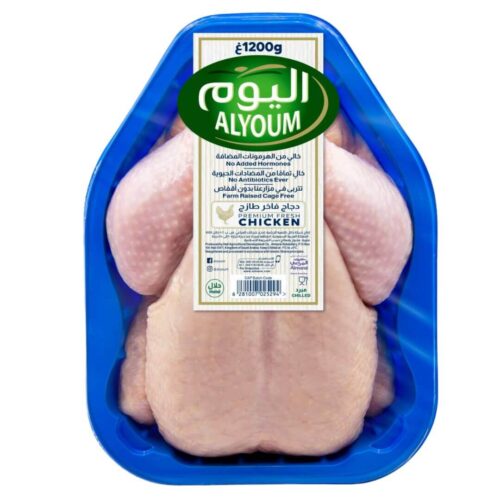 اليوم دجاج طازج