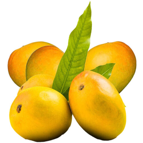Mango Fass Egypt