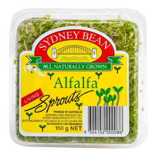 Alfalfa Sprouts Australia