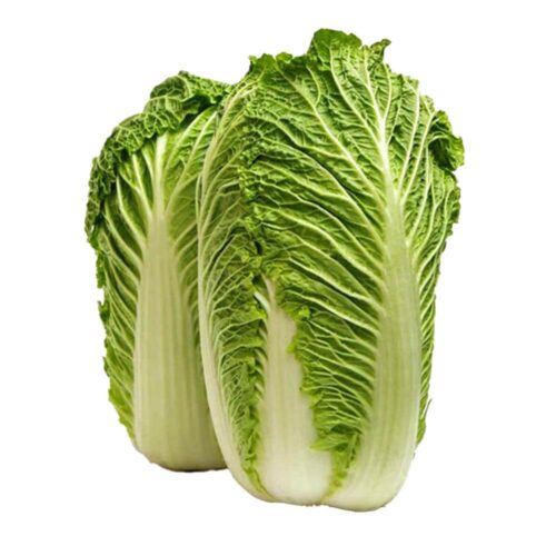 Cabbage Chinese Netherlands 900g-1200g per piece