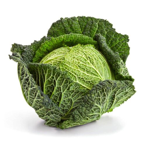 Cabbage Savoy Netherlands 1 piece per kg