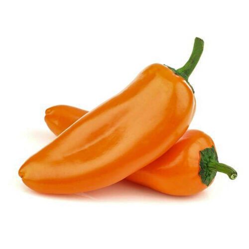 Capsicum Mini Orange Netherlands 300g per packet