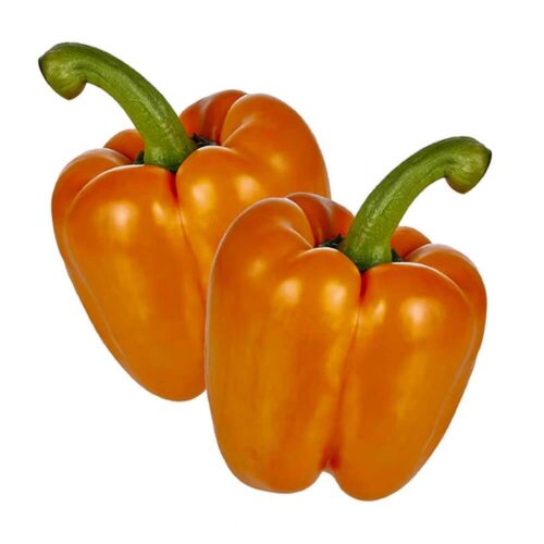Capsicum Orange Netherlands 500g