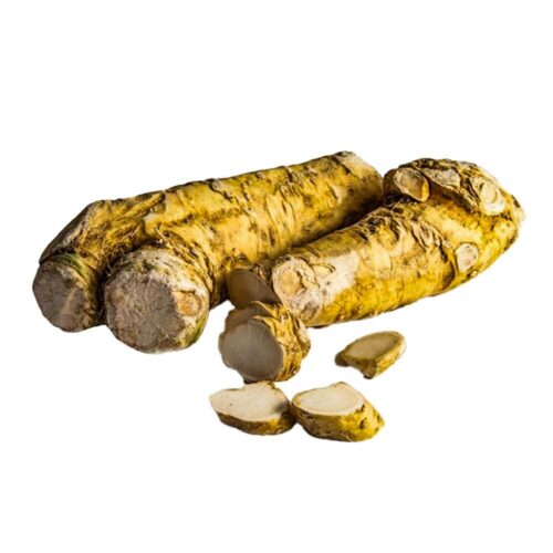 فجل حار هولندا