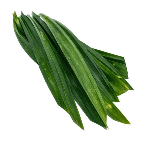 Pandnus Leaves Netherlands 500g