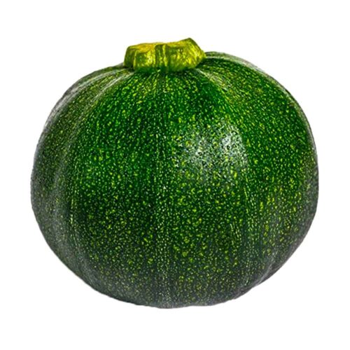 Pumpkin Green Round UAE 1kg-1.5kg per piece