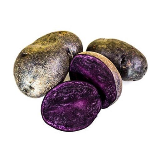Purple Potato Netherlands 500g