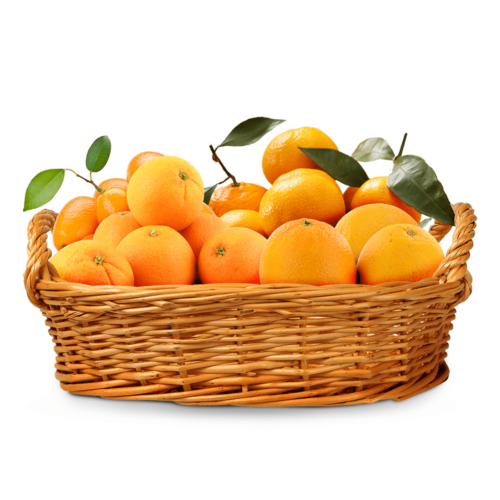 Citrus Fruits Natural