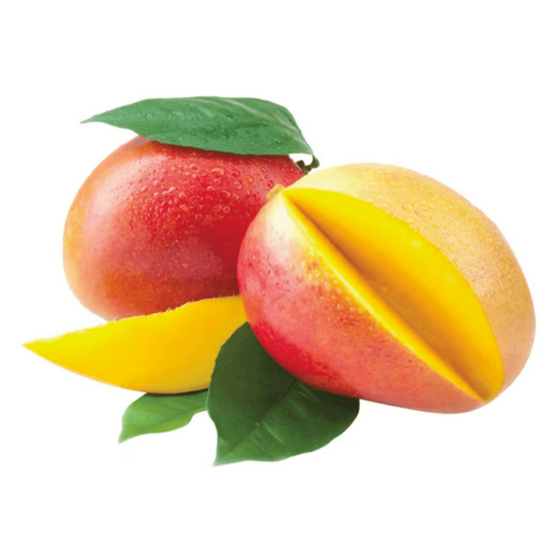 Fresh Mango Tommy South Africa