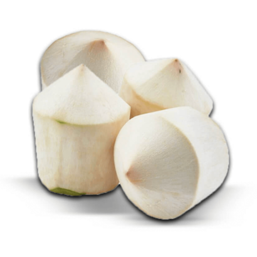 Fresh Tender Coconut Vietnam