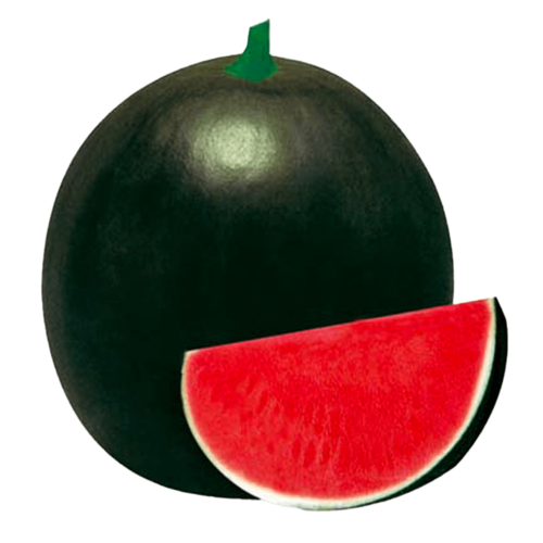 Green Seedless Watermelon Turkey 5kg to 6kg