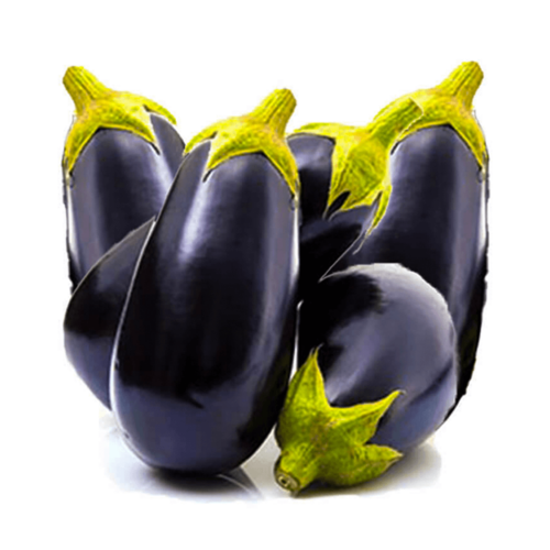 Greenhouse Big Eggplant Iran