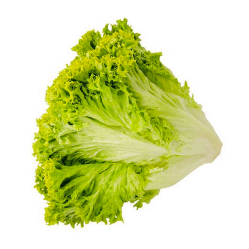 خس لولو بيوندا (اخضر)