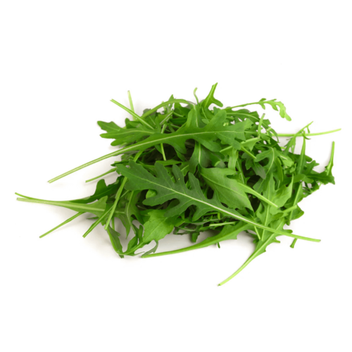 Lettuce Rocket Italy