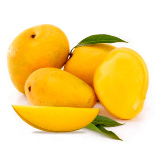 Mango Alphonso India